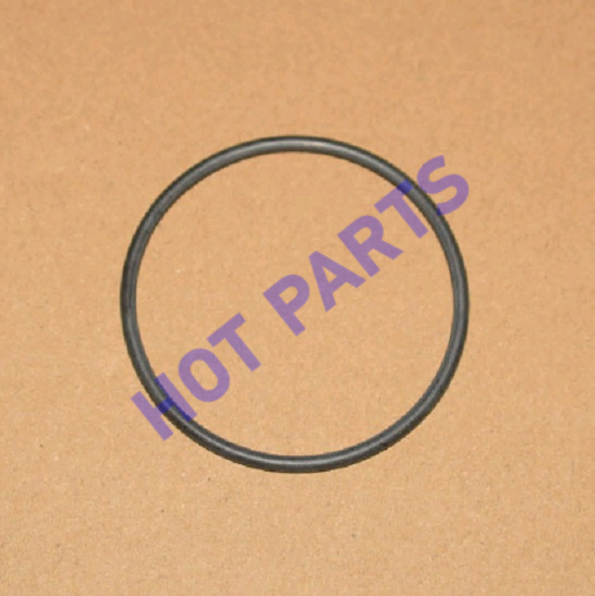 картинка SEAL-BRAKE CYLINDER TO VACUUM BOOSTER  204000697AA