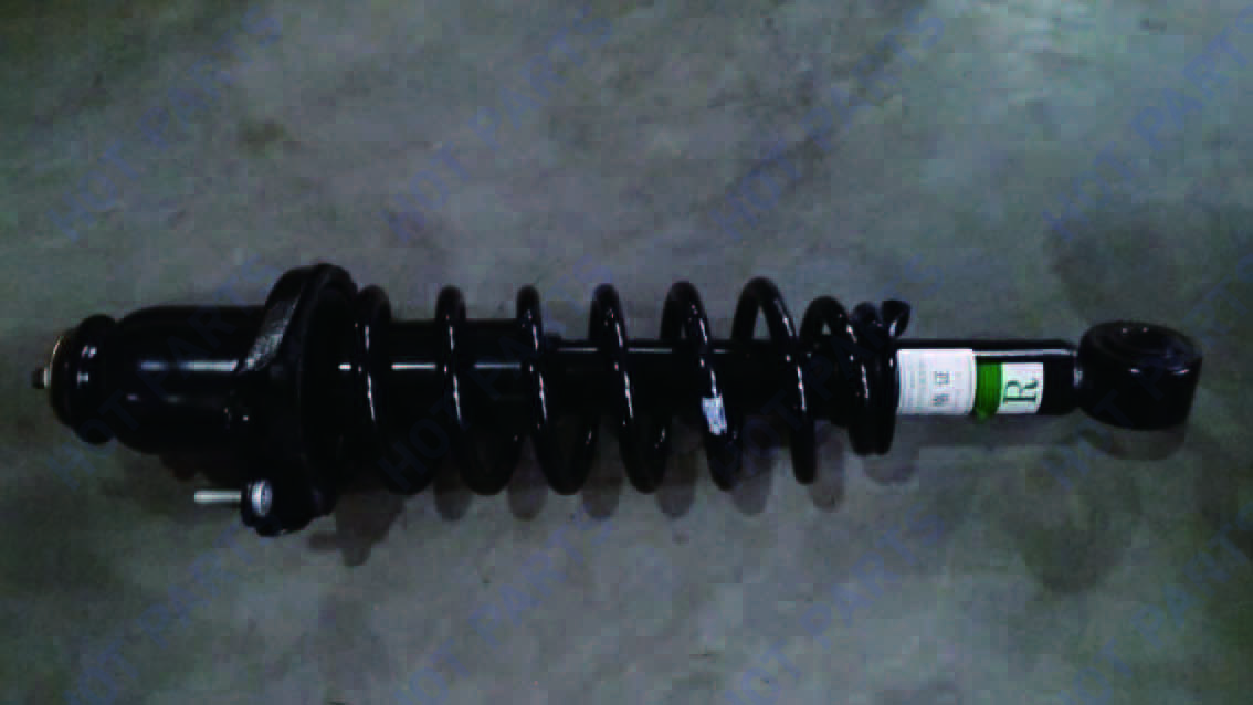картинка RR shock absorber with spring assy. -- не разобрано 2 BBF2915040