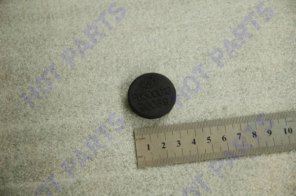 картинка Back door plug -- не разобрано 2 F6300013