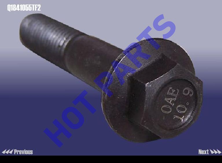 BOLT(M10x55)