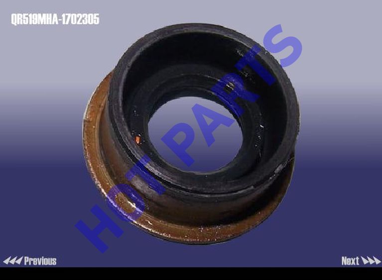 картинка INTERLOCKING PIN  QR519MHA-1702305