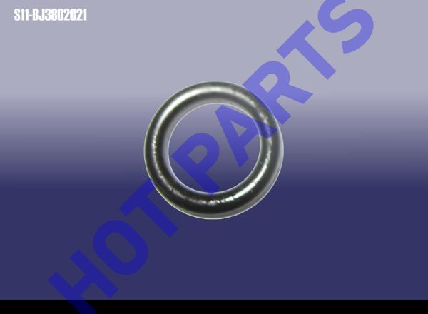 O RING-ODOMETER SENSOR
